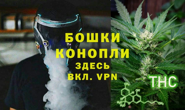 spice Гусев