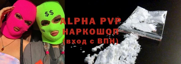spice Гусев