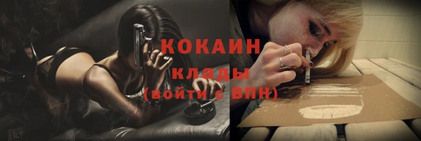 spice Гусев
