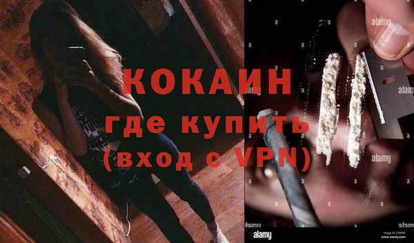 spice Гусев